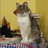 Отзыв от Татьяна Бочарова
